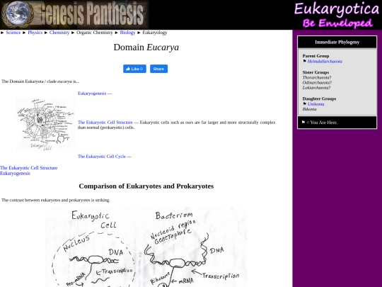 eucarya screenshot