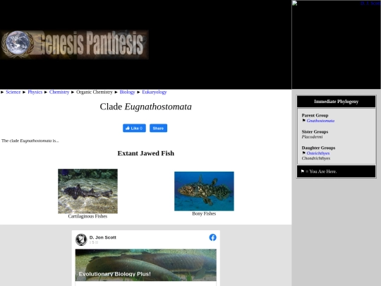 eugnathostomata screenshot