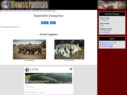euungulata screenshot