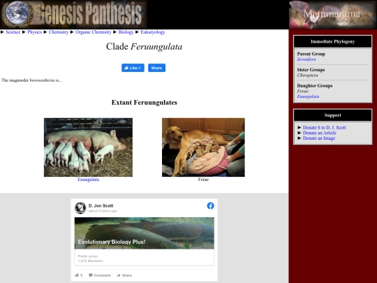 feruungulata screenshot