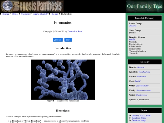 firmicutes screenshot