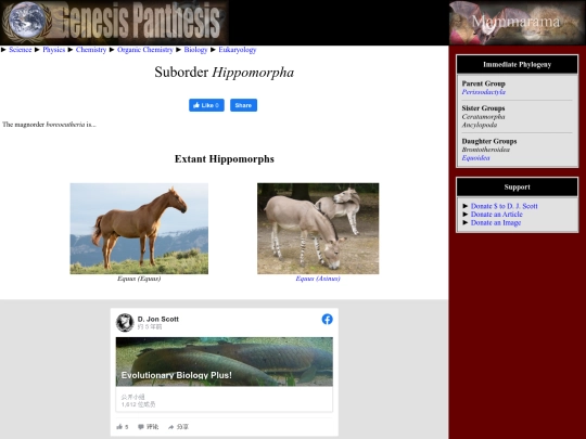 hippomorpha screenshot