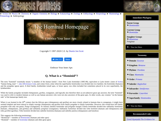 hom screenshot