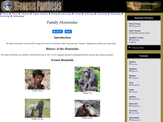 hominidae screenshot