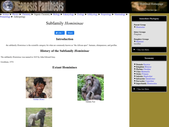 homininae screenshot
