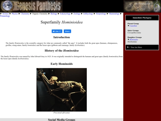 hominoidea screenshot