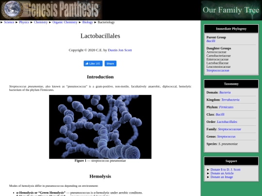 lactobacillales screenshot
