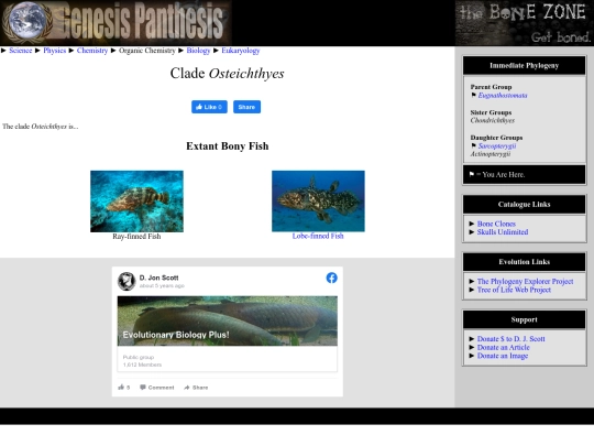 osteichthyes screenshot