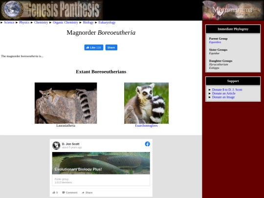 palaeotheriidae screenshot