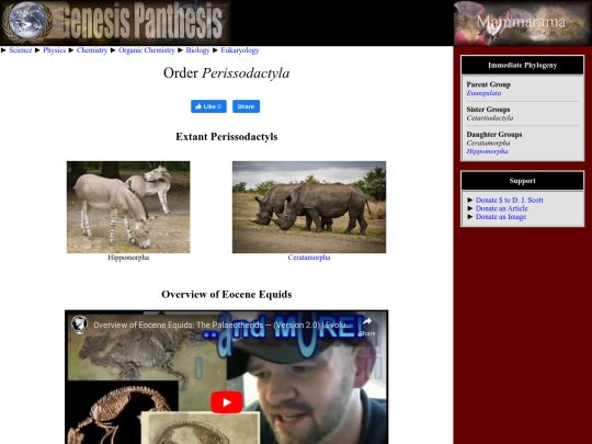 perissodactyla screenshot