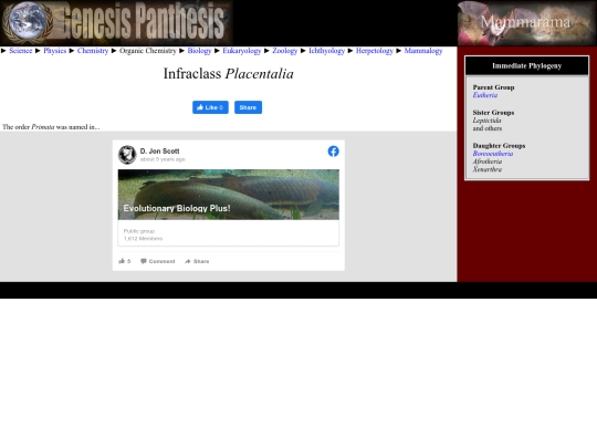 placentalia screenshot