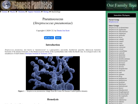 pneumococcus screenshot