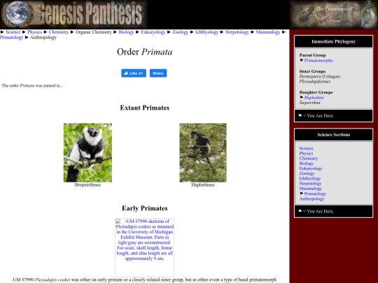 primata screenshot