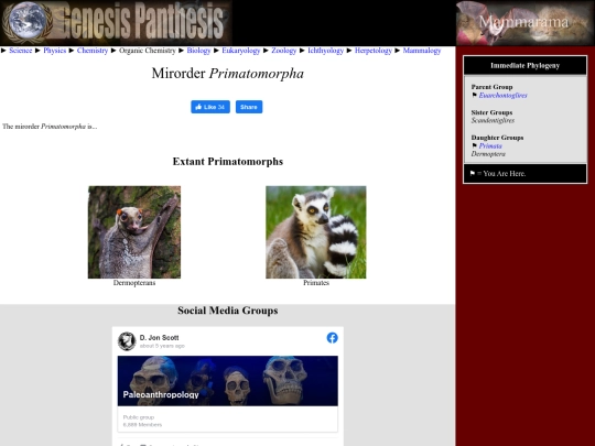 primatomorpha screenshot