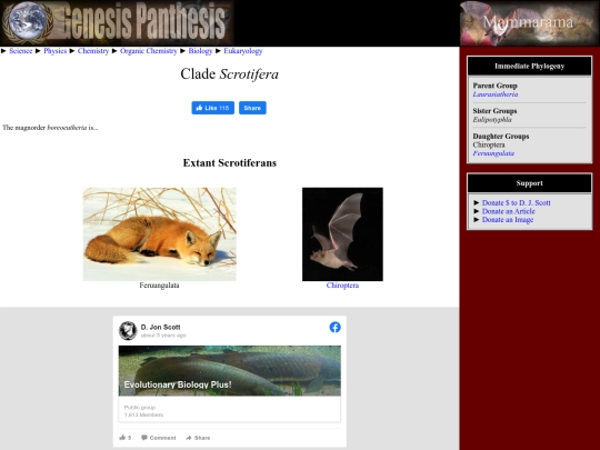 scrotifera screenshot