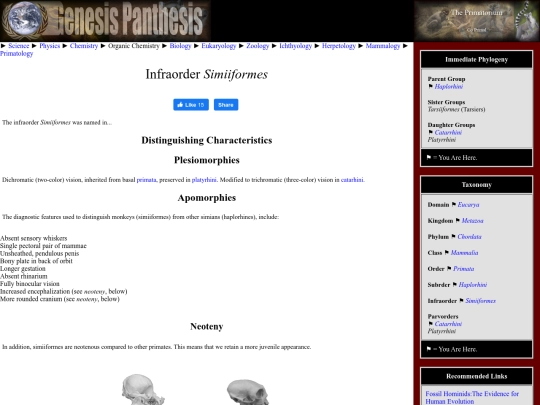 simiiformes screenshot