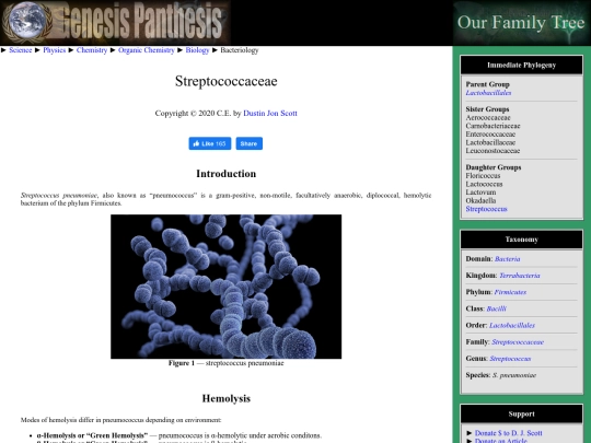 streptococcaceae screenshot