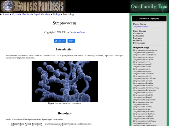 streptococcus screenshot