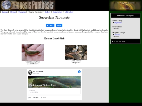 tetrapoda screenshot