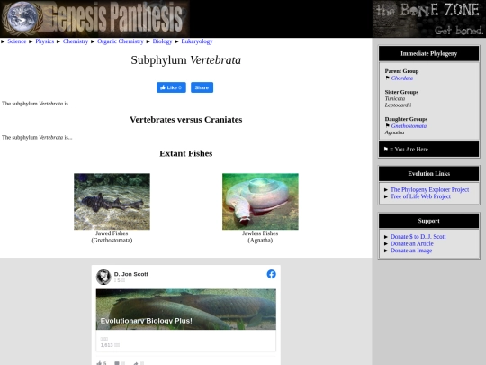 vertebrata screenshot