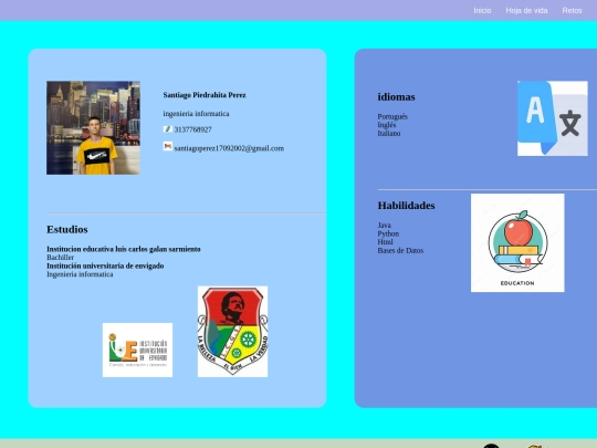 HojaDeVida screenshot