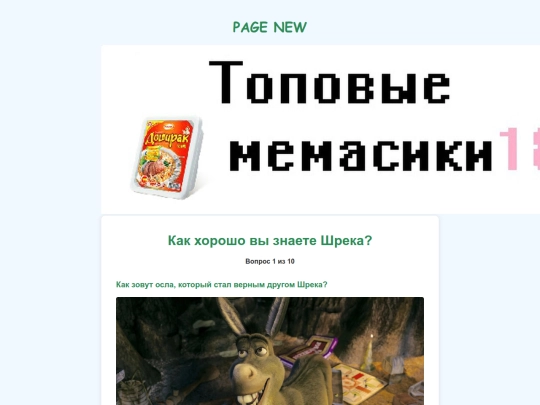 page screenshot