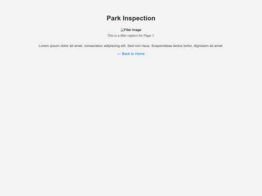 parkinspection screenshot