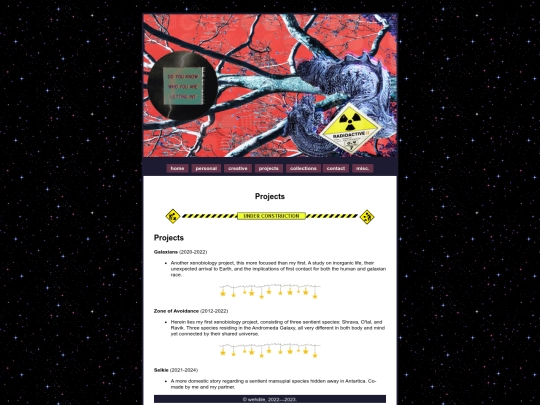 projects screenshot