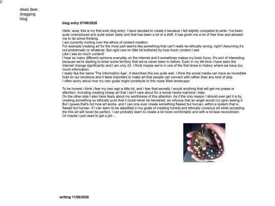 blog screenshot