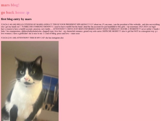 blog screenshot