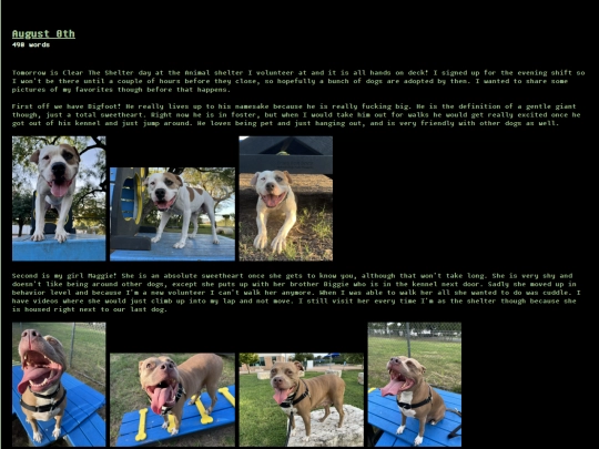 blogust/aug08 screenshot
