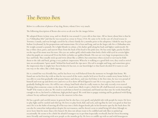 bento-box screenshot