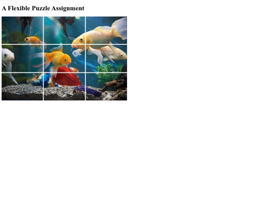 A Flexible Puzzle Assignment/flexiblepuzzle screenshot