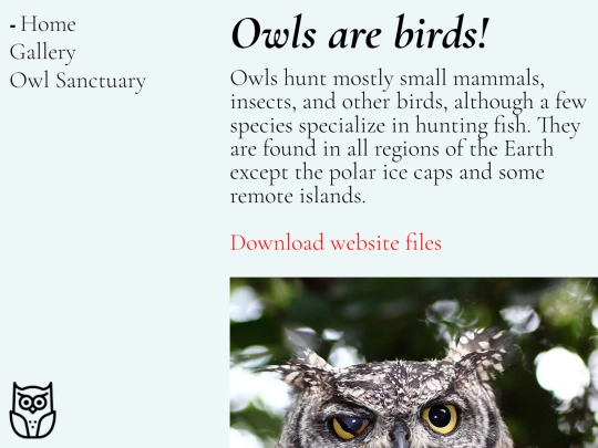 new-site screenshot