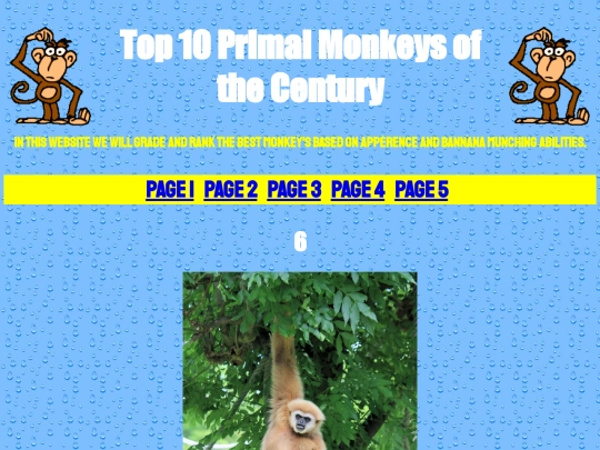 Test screenshot
