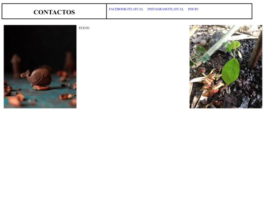 contacto screenshot