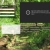 Calm Clearing avatar