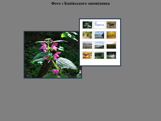gallery1/Галерея screenshot