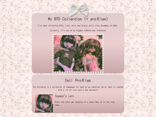 collection/bjd/main screenshot