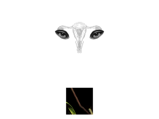 sidebar/darkside/elysium/2 screenshot