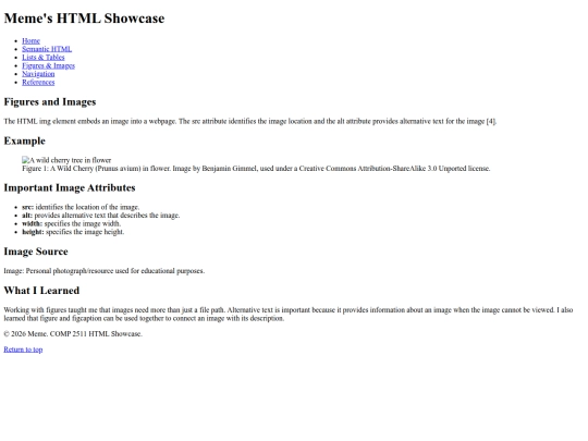 figures screenshot