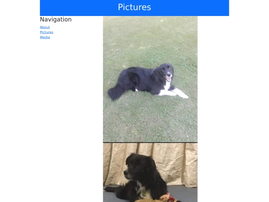 Pictures screenshot
