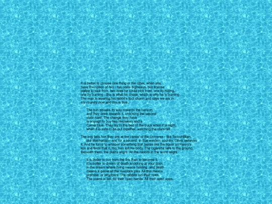 rabbits screenshot