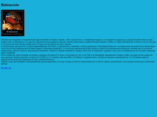 basquet screenshot