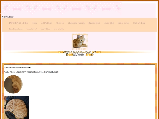 Chaussette screenshot