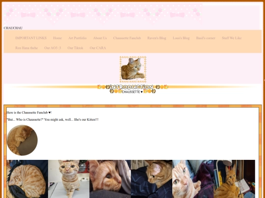 assets/Chaussette screenshot