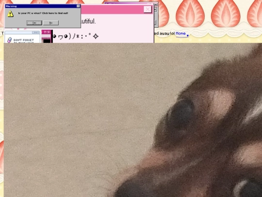 corkboard screenshot
