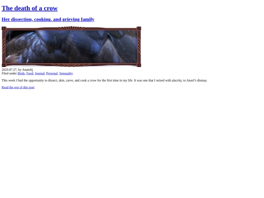 previews/2020/200728_p_Thedeathofacrow screenshot