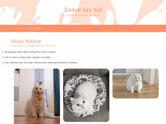 photo screenshot