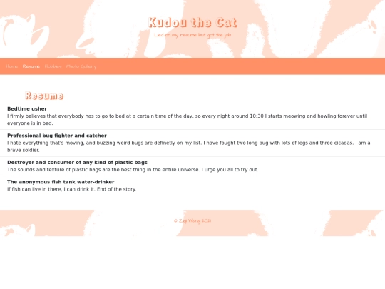 resume screenshot